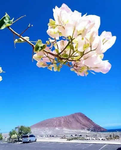 Ocean House לינה וארוחת בוקר